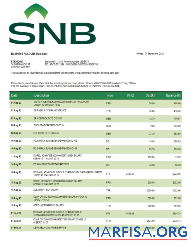 Printable SNB Bank enterprise statement Word and PDF template